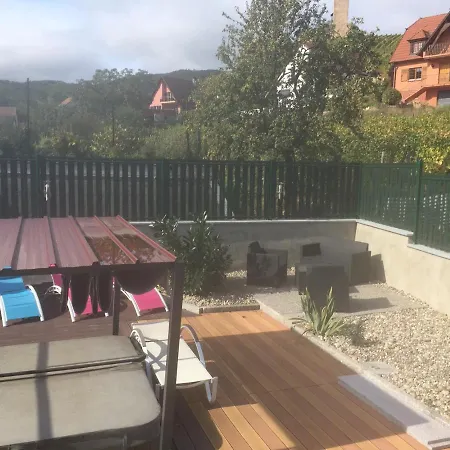 Les Gites 2-4 Pers Remy Herold Katzenthal Exterior foto