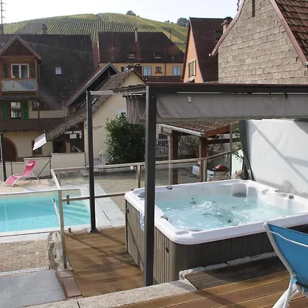 Les Gites 2-4 Pers Remy Herold Katzenthal Exterior foto
