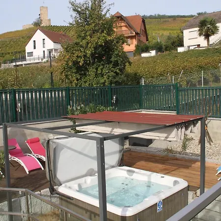 Les Gites 2-4 Pers Remy Herold Katzenthal Exterior foto