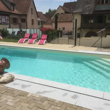 Les Gites 2-4 Pers Remy Herold Katzenthal Exterior foto