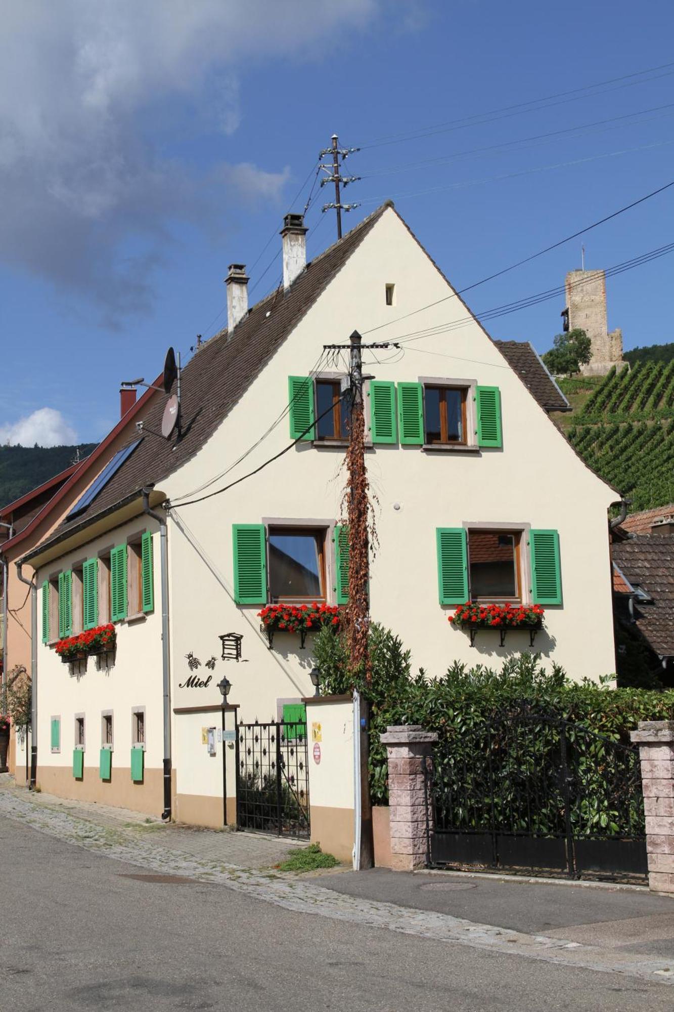 Les 2-4 Pers Rémy Herold * Katzenthal